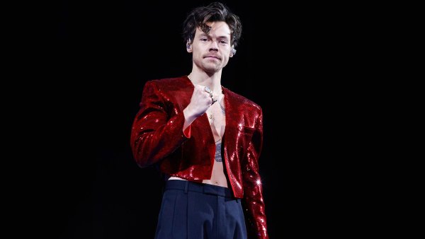 Harry Styles Experts Wanted for Hometown Tour Guide Gig