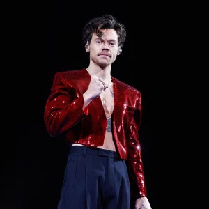 Harry Styles Experts Wanted for Hometown Tour Guide Gig