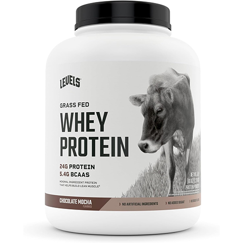 Levels Whey Protein Powder