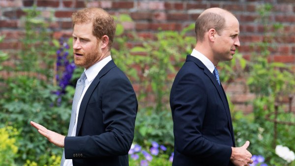 Prince Harry and Prince William Havent Had a Real Conversation in Months