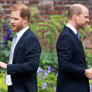 Prince Harry and Prince William Havent Had a Real Conversation in Months