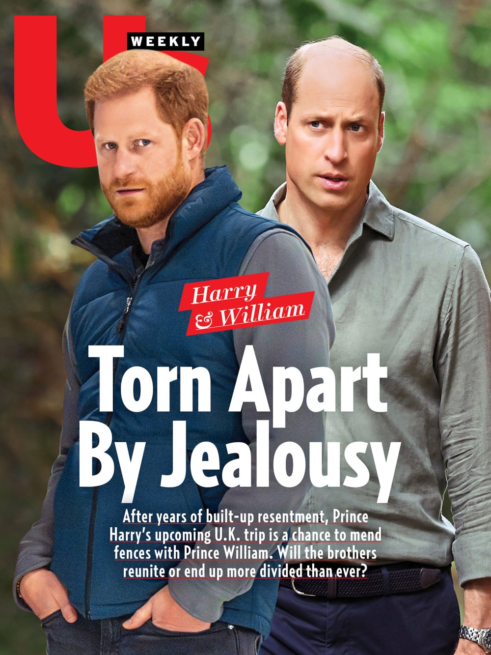 Prince Harry and Prince William Us Weekly 2420 No Chip