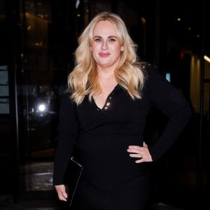 Rebel Wilson Attended Drug Fueled Orgy Party With Royal Family Member