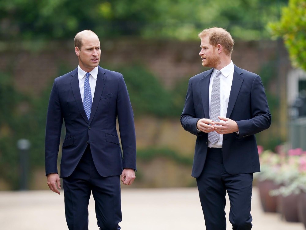 Will Prince Harry and Prince William Reunite at an Upcoming Royal Wedding? What We Know