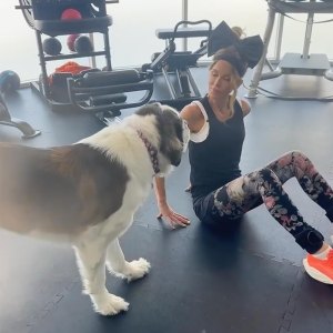 Kate Beckinsale Hits the Gym With a Dog After Hospitalization