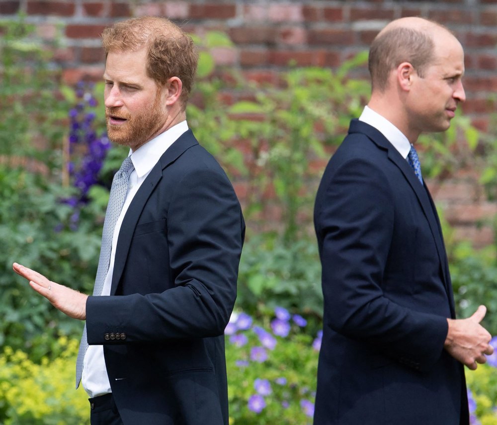 Prince Harry's bitter estrangement with his older brother Prince William could prove a major problem for the future king.