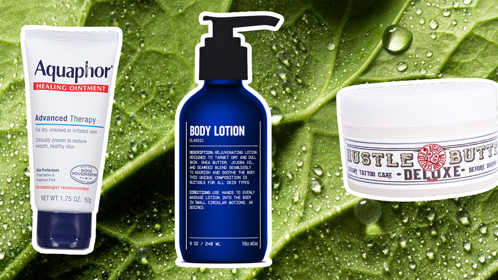 The 23 Best Tattoo Lotions in 2024