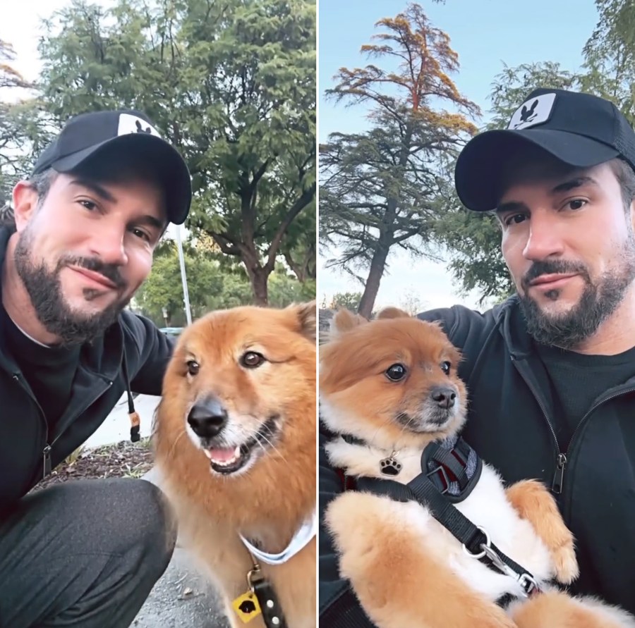 Bryan Abasolo Walks Rachel Lindsay’s Dogs After Claiming Living Arrangement Is ‘Strained’