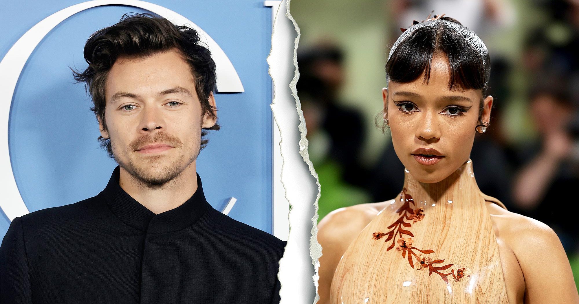 Harry Styles and Taylor Russell Split After 1 Year of Dating - Vimarsana News