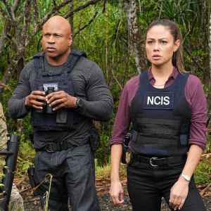 How NCIS Hawai i Fans Are Fighting to Save the Series Following its Abrupt Cancelation 973