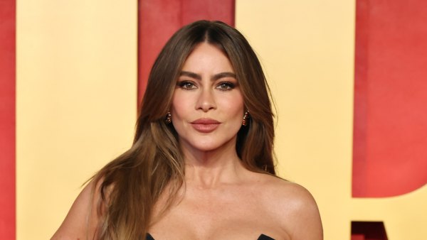 Sofia Vergara Is Planning to Get Plastic Surgery in the Future