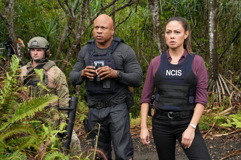 Vanessa Lachey Shares NCIS Hawai i s High Audience Stats Amid Cancelation