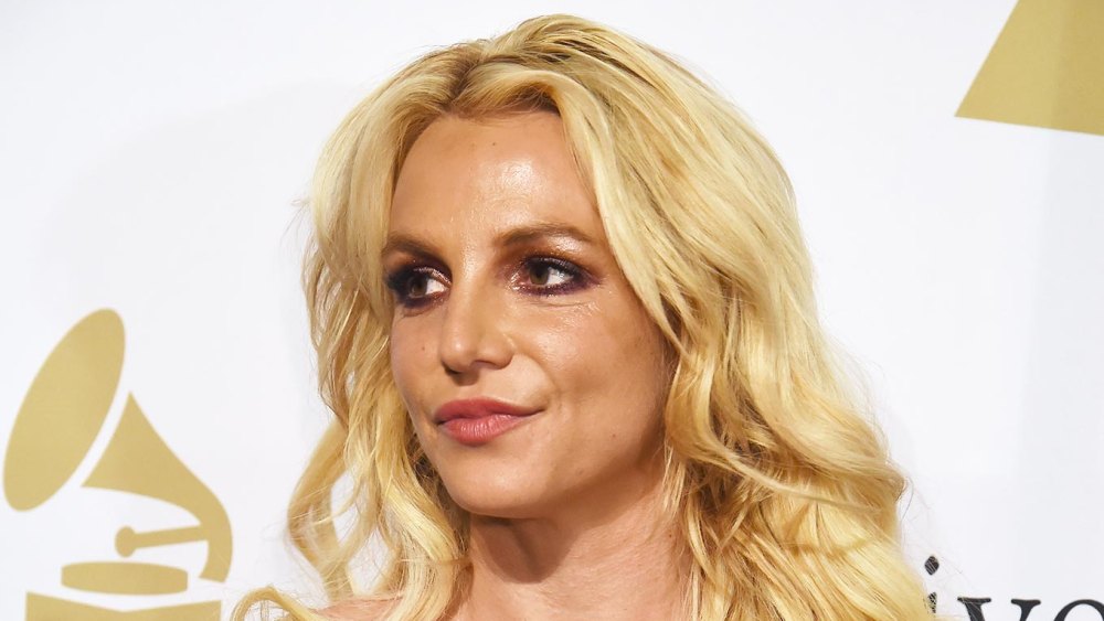 Britney Spears Releases Statement After News Broke of Alleged Incident