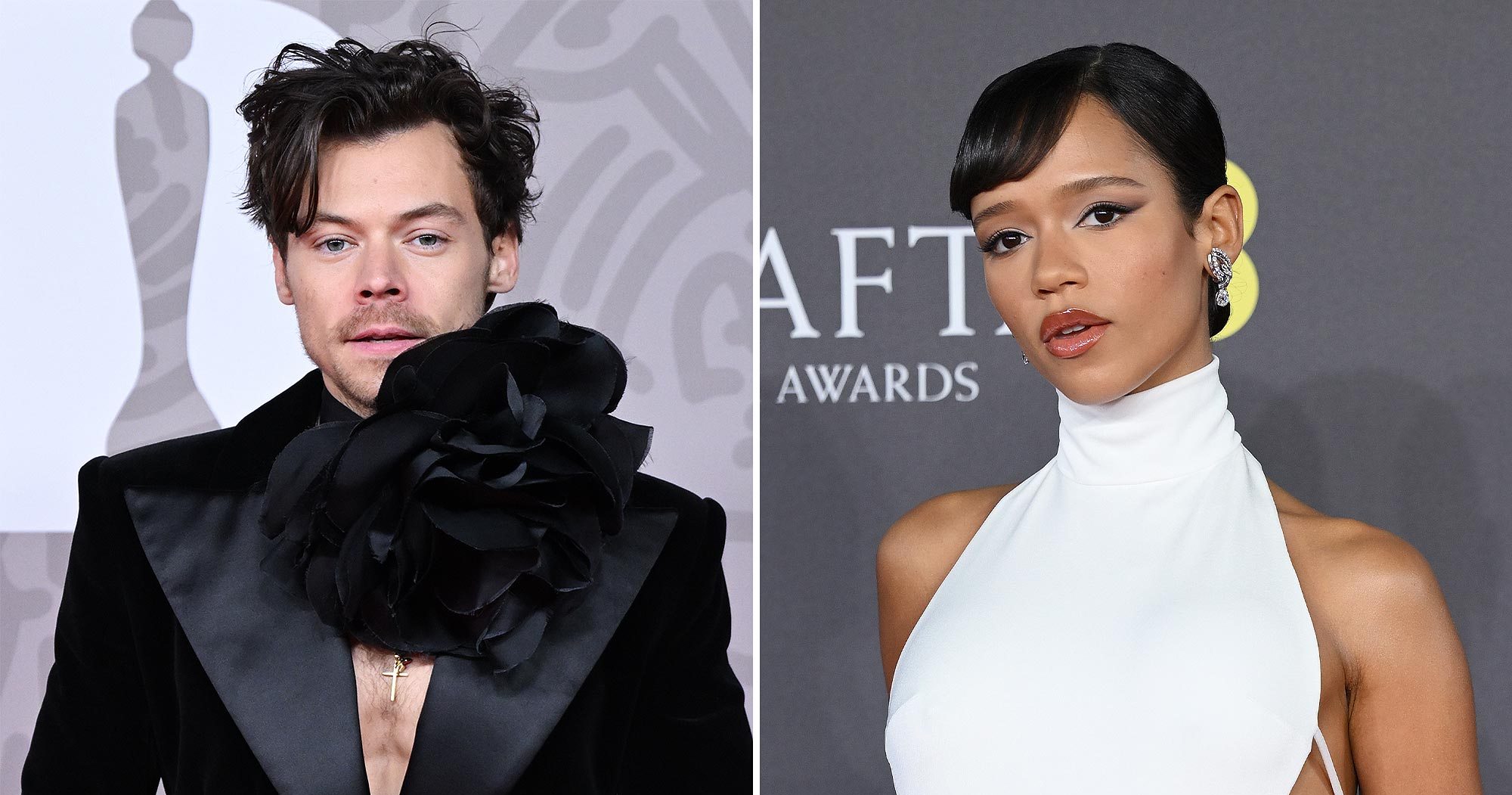 Why Did Harry Styles and Taylor Russell Split? What Went Wrong - Vimarsana News