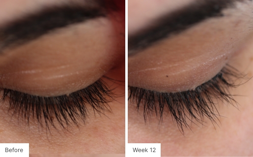 Lash Lush
