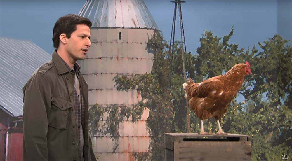 Andy Samberg Left SNL to Protect His Physical and Mental Health 2
