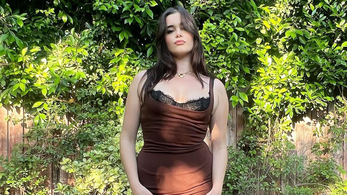 barbie ferreira brown dress Barbie Ferreira: Before & After Weight Loss Transformation
