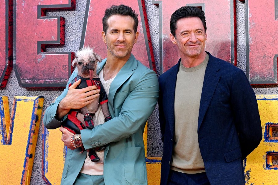 Blake Lively Thirsts Over Ryan Reynolds in Suit Holding Puppy