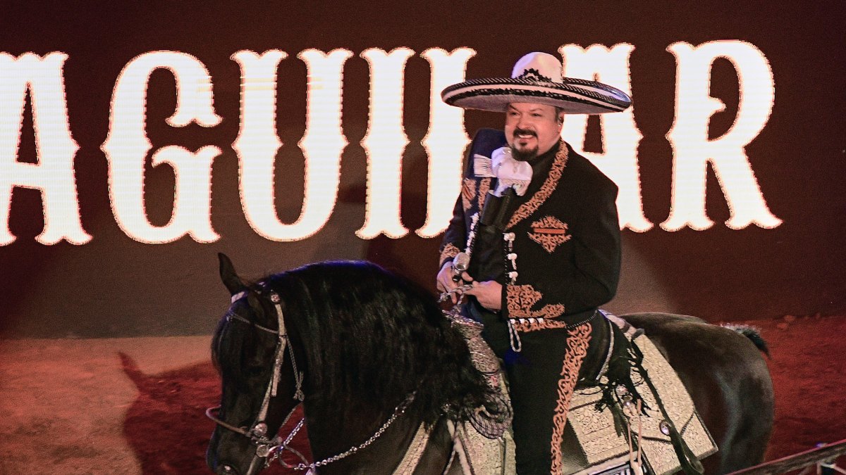 Pepe Aguilar, cantante de música mexicana