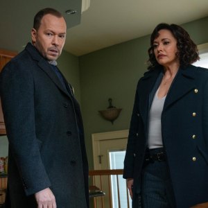 Blue Bloods Spinoff Wont Happen Soon