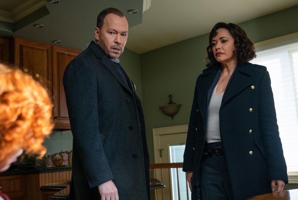 Blue Bloods Spinoff Wont Happen Soon