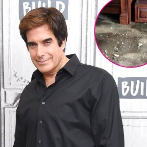 David Copperfield Sued by N Y C Condo Board for Over 2 5M for Allegedly Trashing Manhattan Penthouse 946