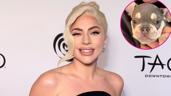 Lady Gaga Adopts New Puppy 3 Years After Dog Walking Kidnapping Incident