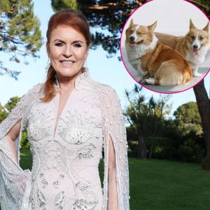Sarah Ferguson Celebrates Queen s Corgis on International Dog Day 230
