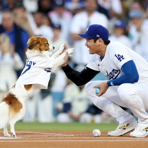Shohei Ohtani’s Dog Threw Out the 1st Pitch at Dodgers Game on His Bobblehead Night