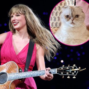 Swifties Think They Hear Taylor Swift s Cat Meow on New Episode of New Heights 318
