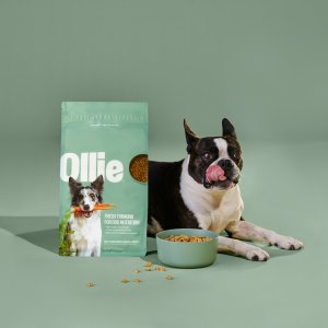 dog with ollie food