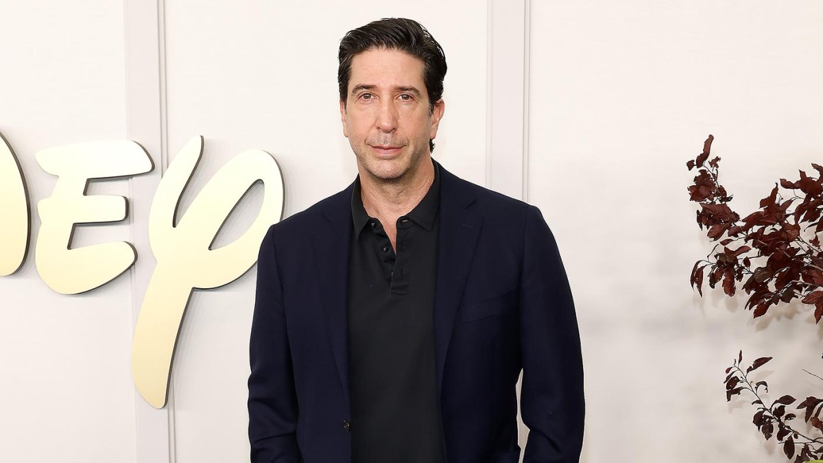 David Schwimmer Talks Brutal Decision to Turn Down Men in Black Changed His Career Trajectory