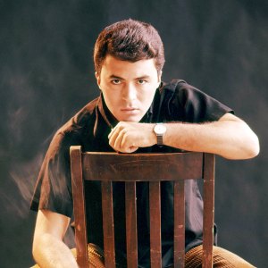 James Darren Gidget and T J Hooker Actor Dead at 88 492