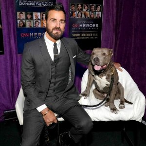 Justin Theroux Says Owning a Dog Is the Only Relationship He Encourages Codependence