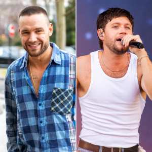 Liam Payne Attended Former 1D Bandmate Niall Horan s Concert Earlier This Month Been a While 784