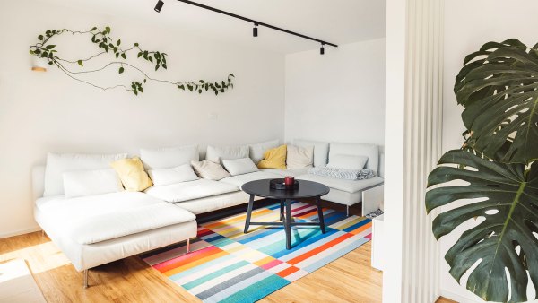 colorful rug in living room