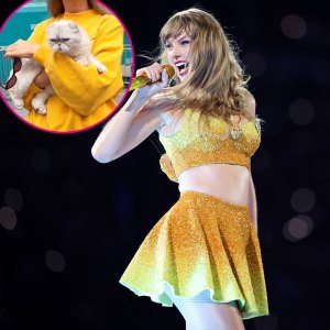 See Taylor Swift and Her Cat Olivia Return to The Office