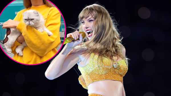 See Taylor Swift and Her Cat Olivia Return to The Office