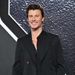 Shawn Mendes Delays New Album Days Before Original Release Date