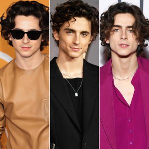 Timothee Chalamet Hair Moments Through the Years