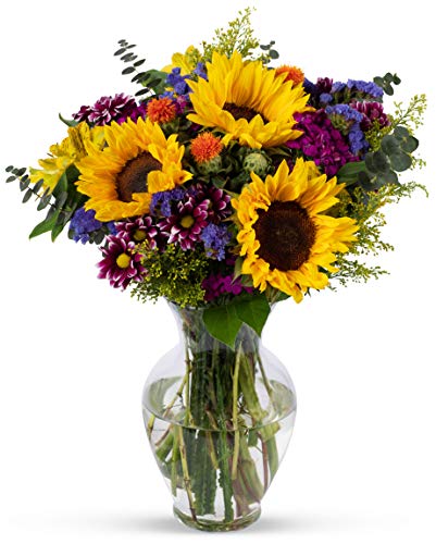 Benchmark Bouquets Flowering Vase