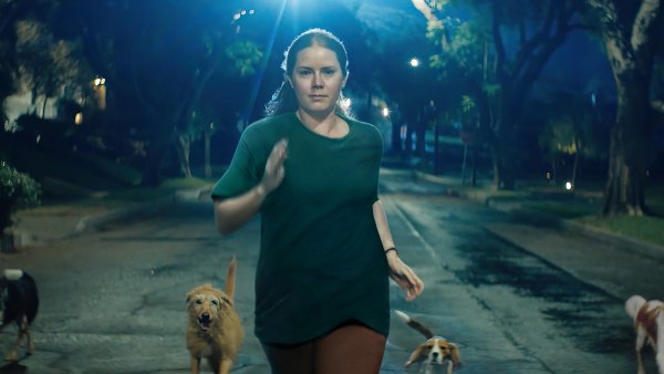 Amy Adams Reveals the Most Relatable Aspect of Filming Nightbitch