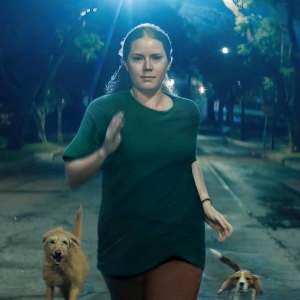 Amy Adams Reveals the Most Relatable Aspect of Filming Nightbitch