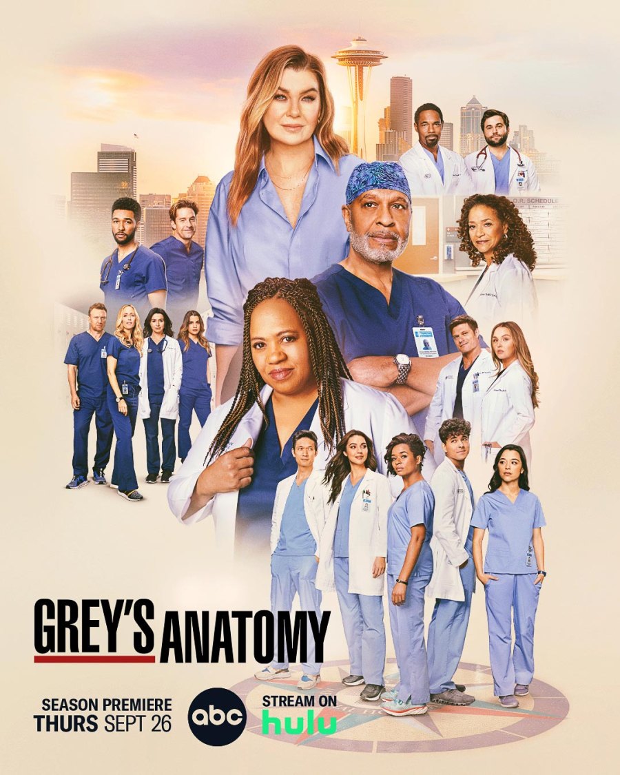 Best Medical TV Shows of All Time ER Grey s Anatomy and More Grey s Anatomy (ABC 2005 now) 0449