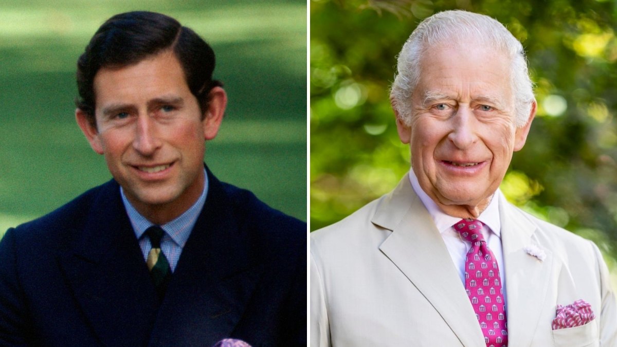 King Charles III Celebrates 77th Birthday With Cake and a New Portrait | Us Weekly