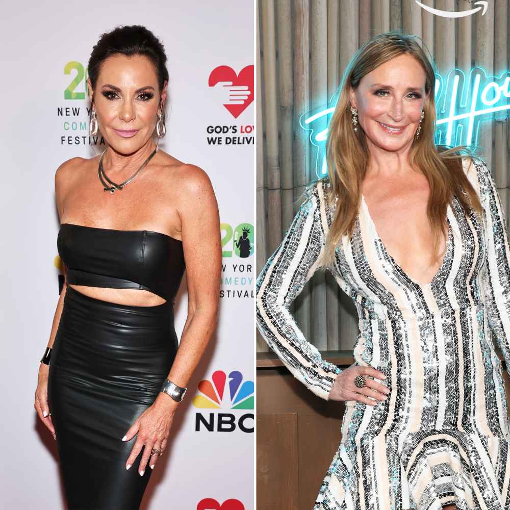 Luann de Lesseps Jokes About Past Arrest While Discussing Sonja Morgan s Move to Palm Beach