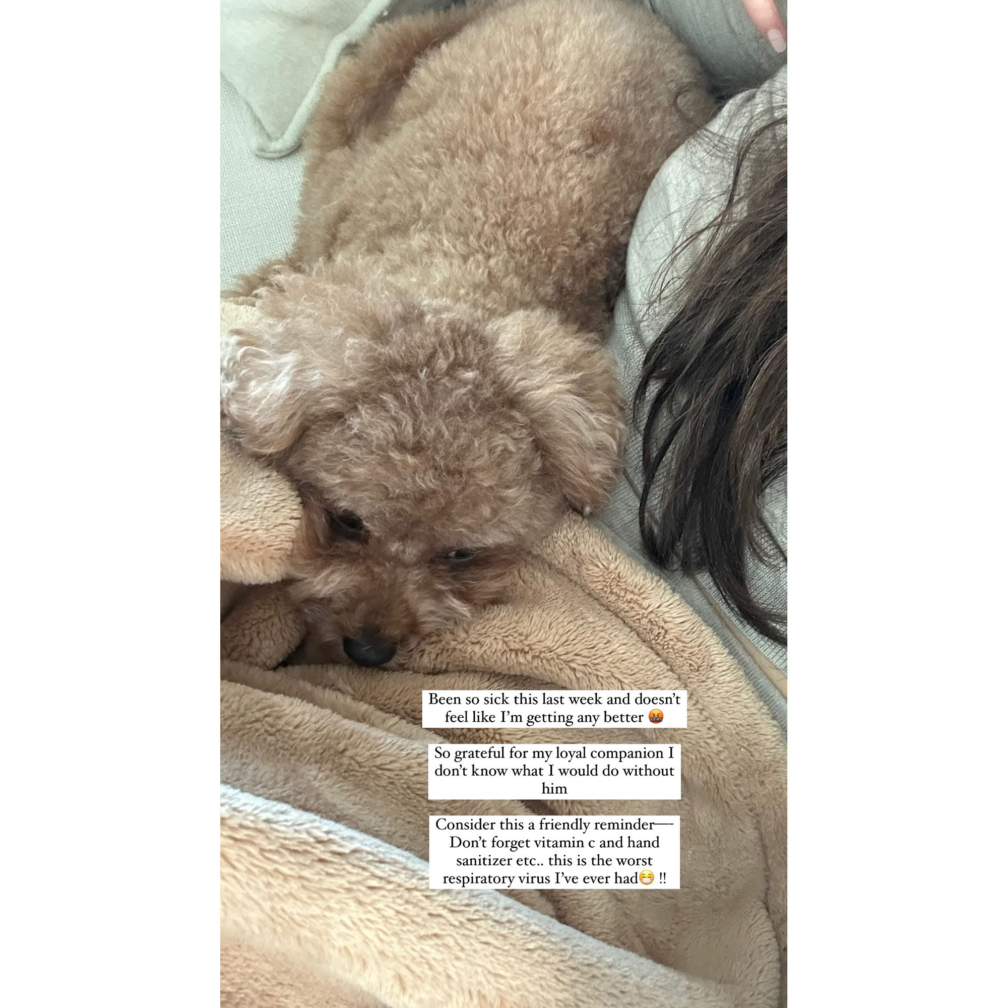 Olivia Culpo Has Been So Sick For a Week Thanks Her Dog