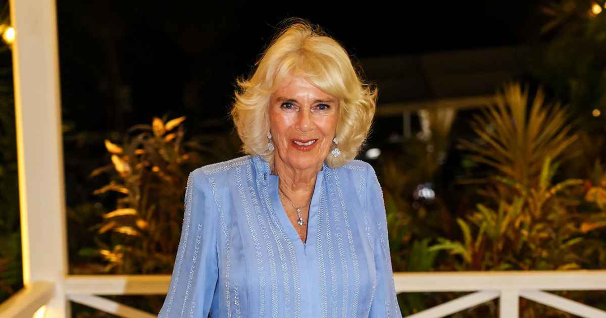 Queen Camilla Cancels Public Appearances as She Battles Chest Infection Queen Camilla Cancels Public Appearances as She Battles Chest Infection