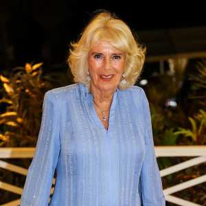 Queen Camilla Chest Infection