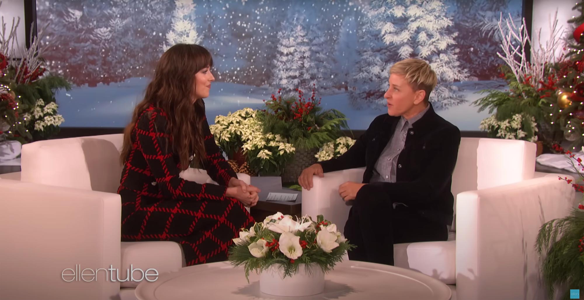 Remember the Awkward Ellen Interview That Made Dakota Johnson a Meme 504